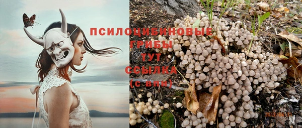 ПСИЛОЦИБИНОВЫЕ ГРИБЫ Абинск