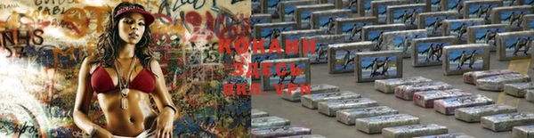скорость Абаза