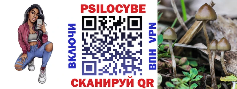 Псилоцибиновые грибы Psilocybine cubensis  где купить наркотик  Беломорск 